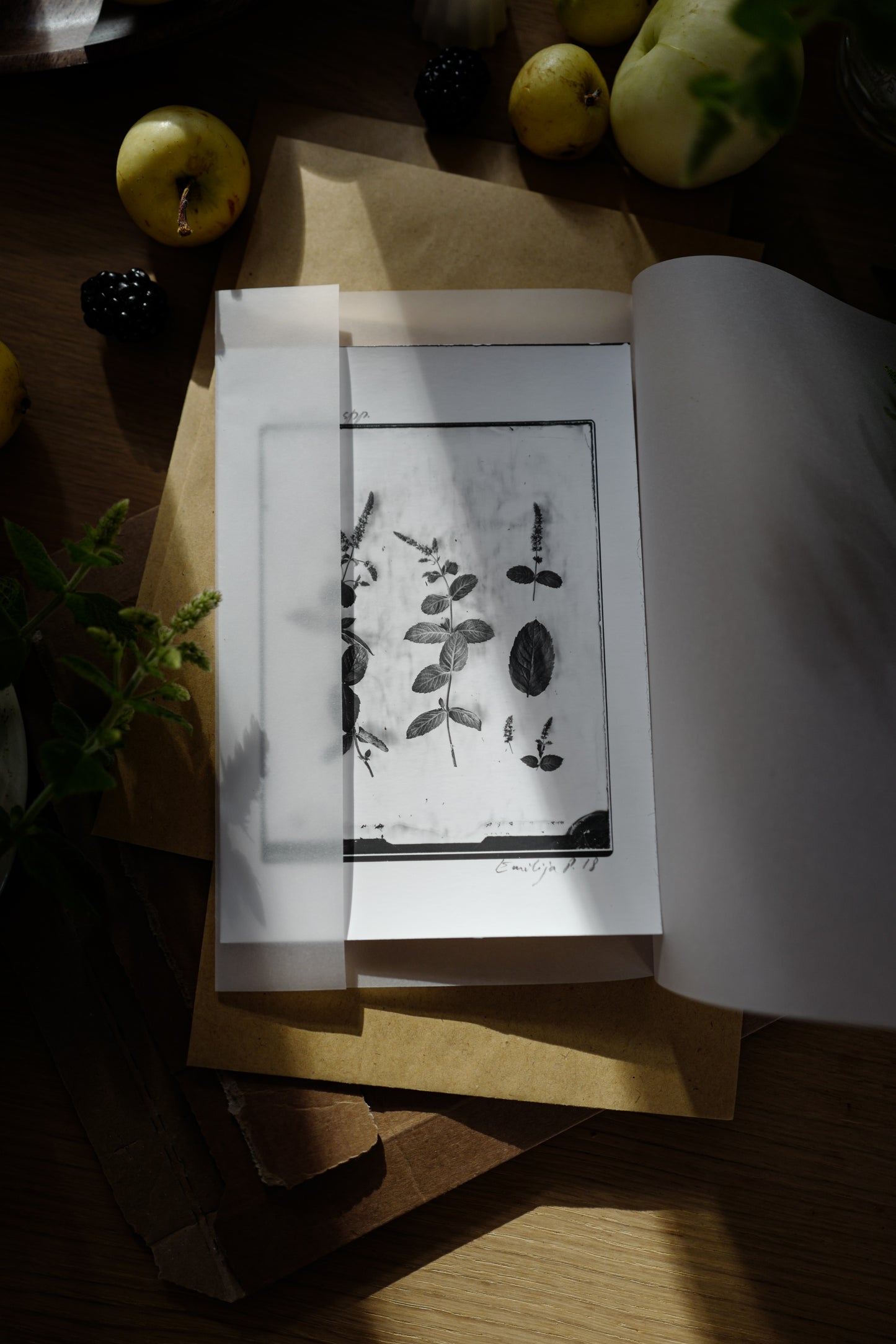 Silver Print in Classic Style Frame