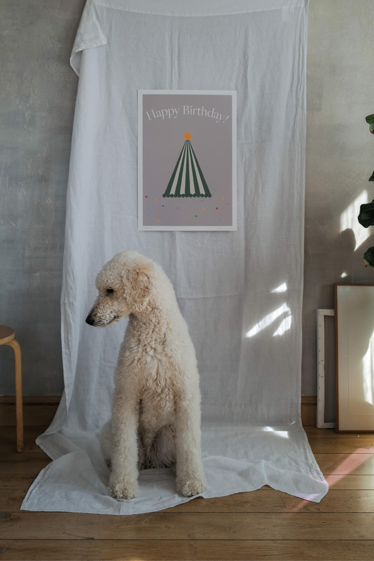 Happy Birthday Hat Poster