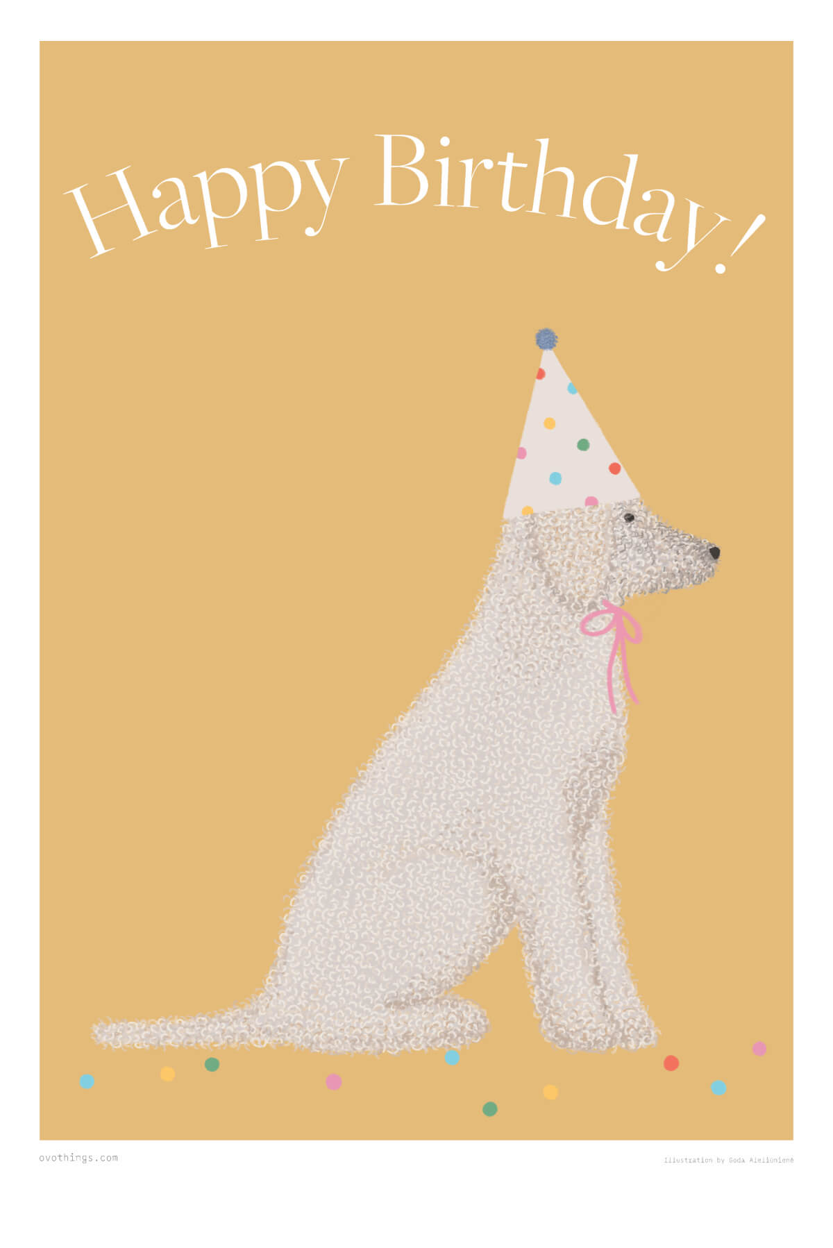 Happy Birthday Šarka Poster