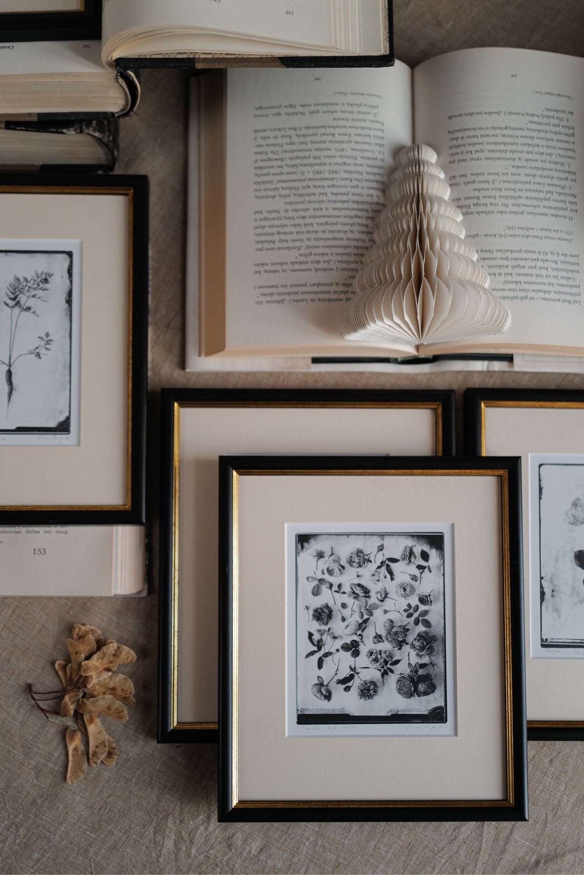 Silver Print in Classic Style Frame
