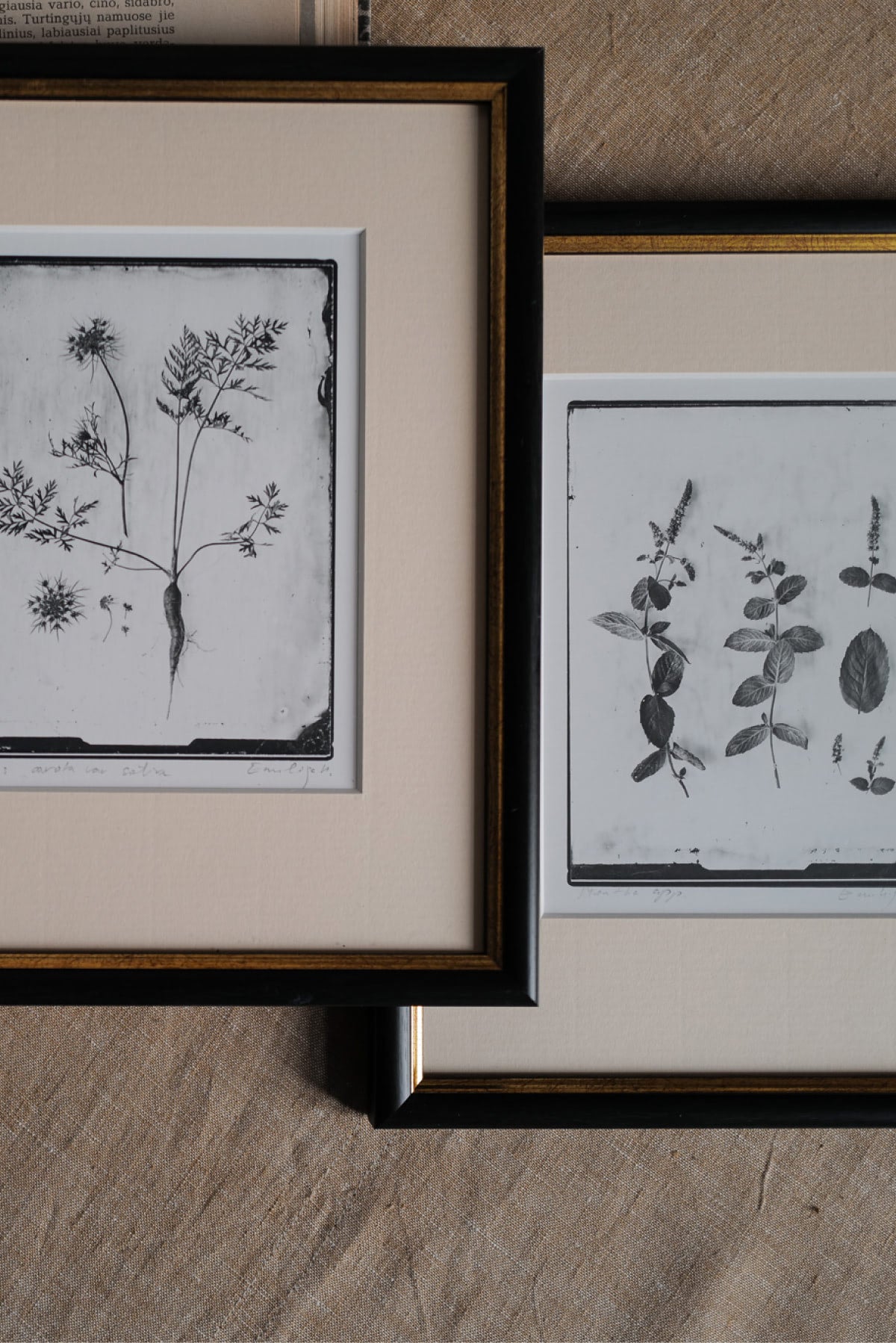 Silver Print in Classic Style Frame