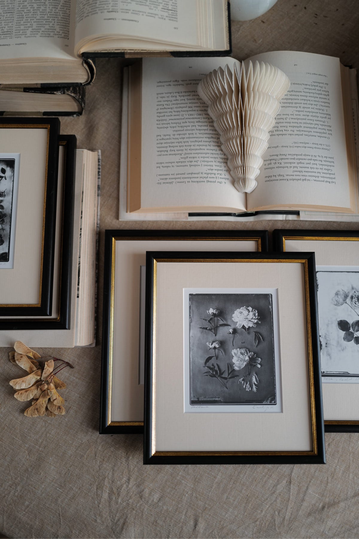 Silver Print in Classic Style Frame