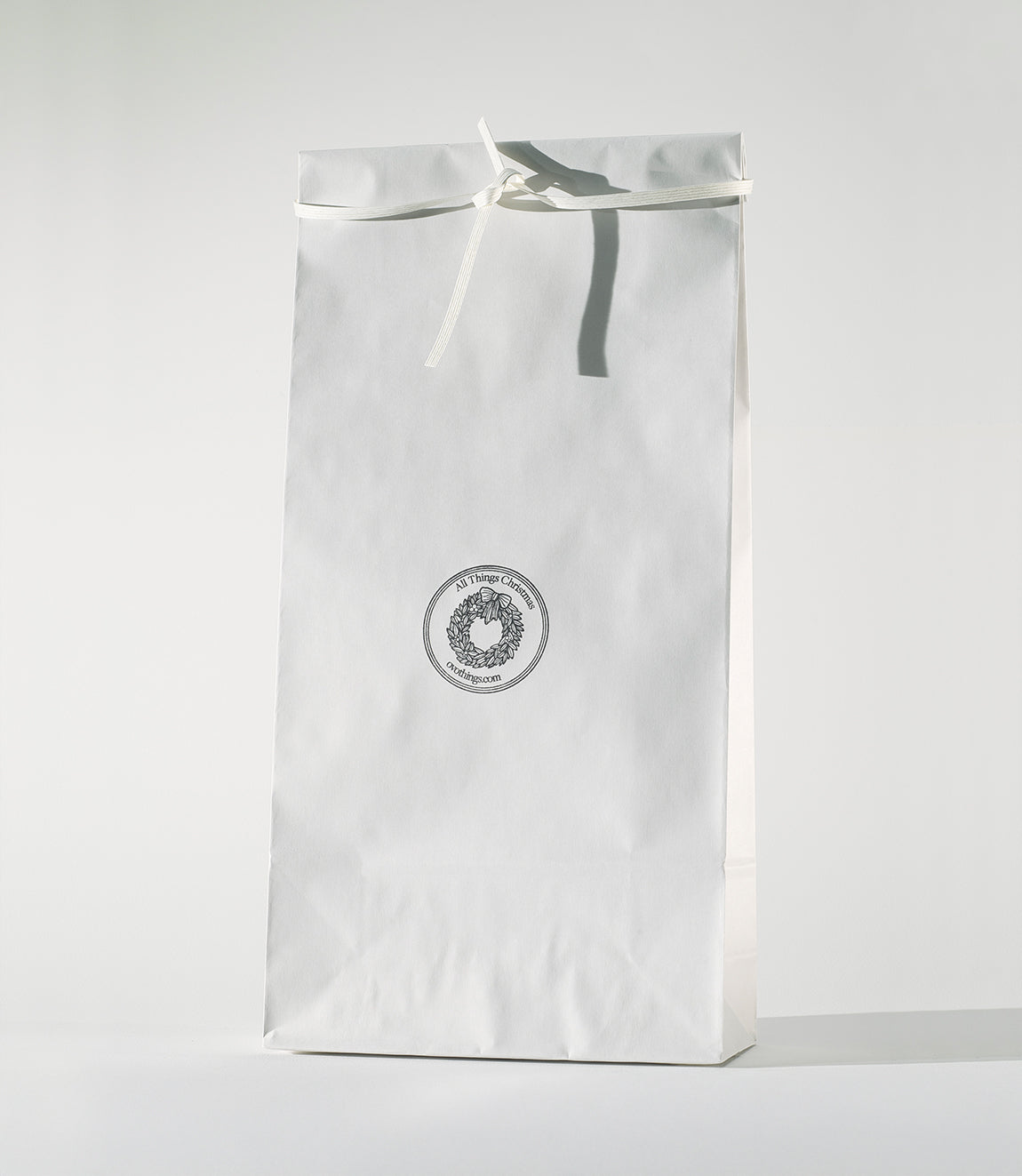 Paper Gift Bag