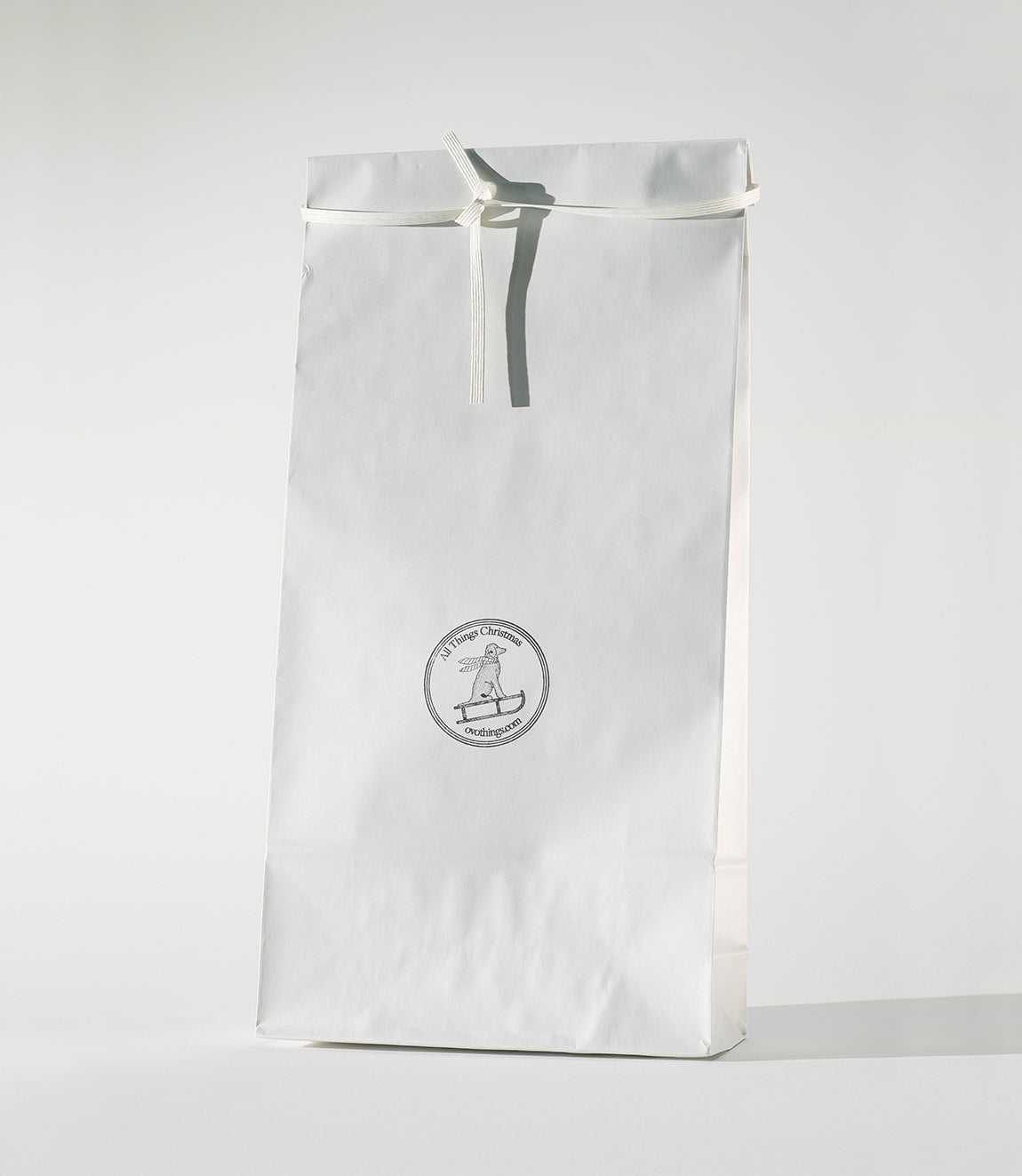 Paper Gift Bag