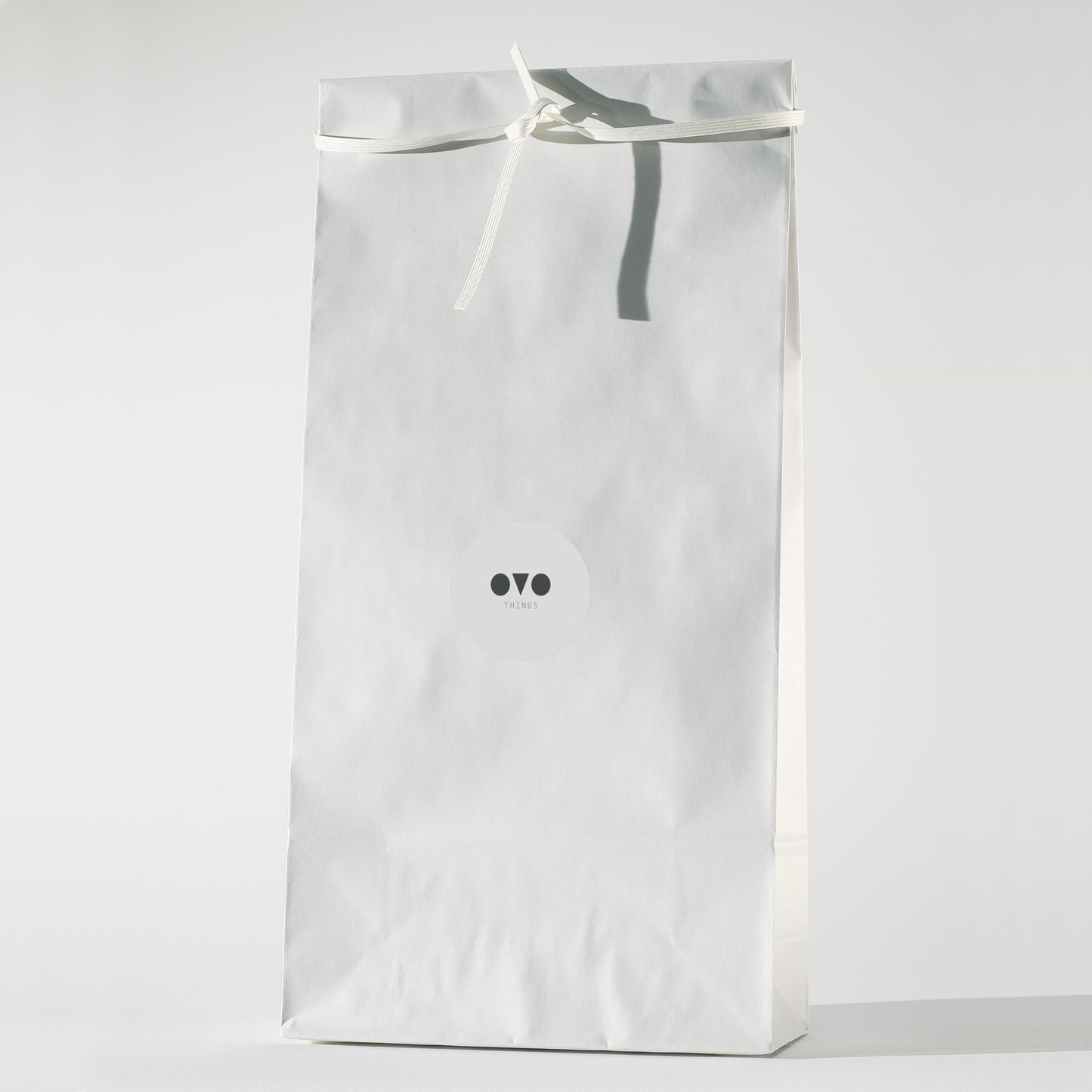 Paper Gift Bag