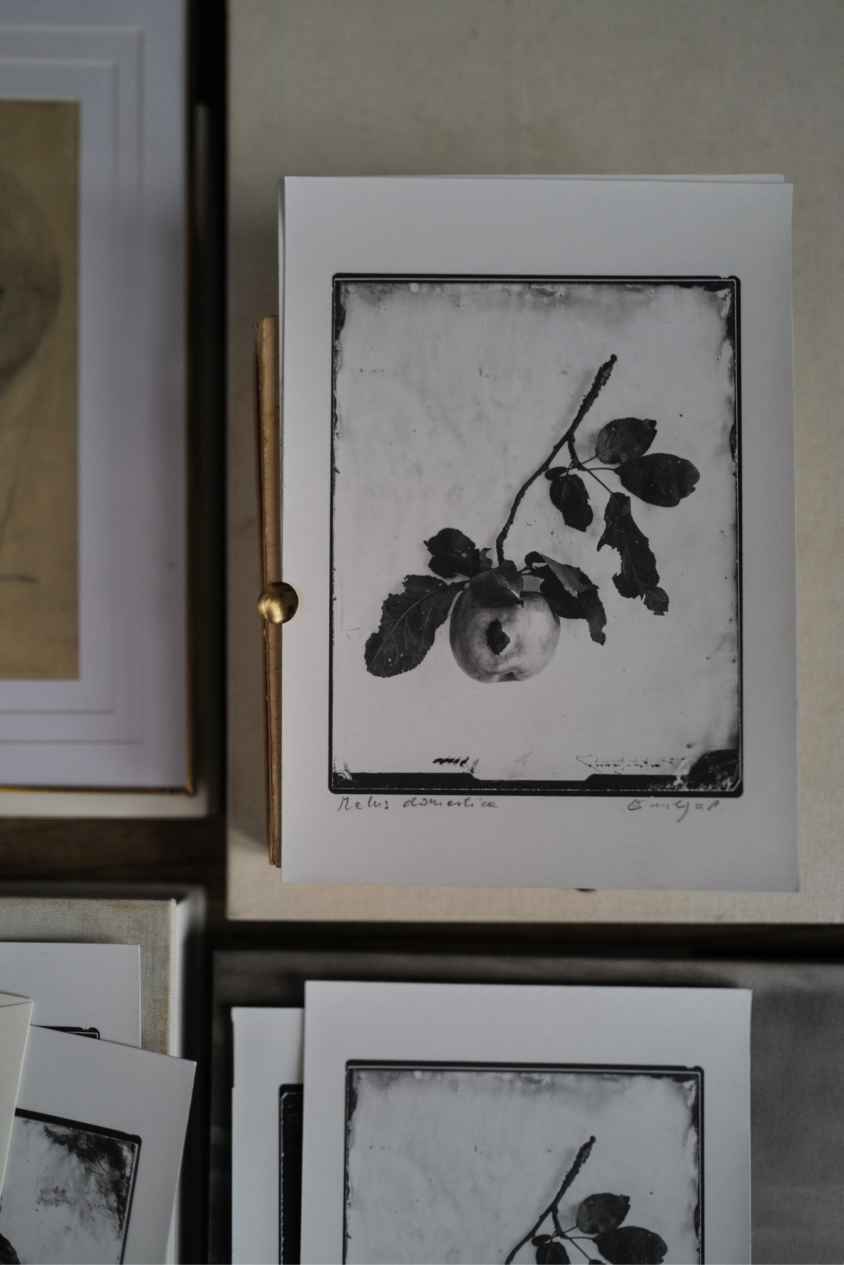 Fine Art Silver Print (plain print)