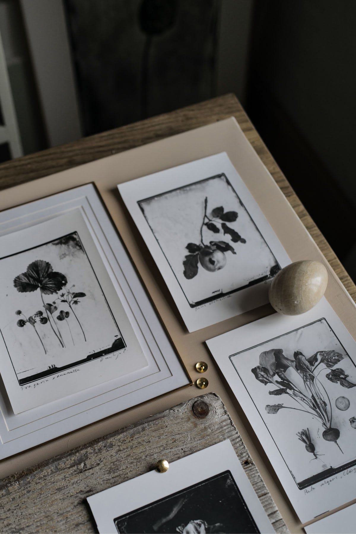 Fine Art Silver Print (plain print)