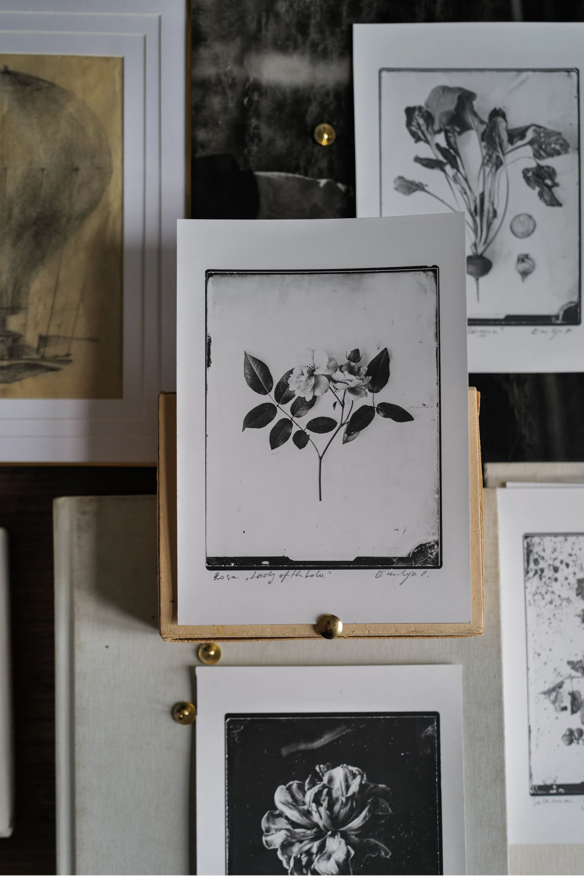 Fine Art Silver Print (plain print)