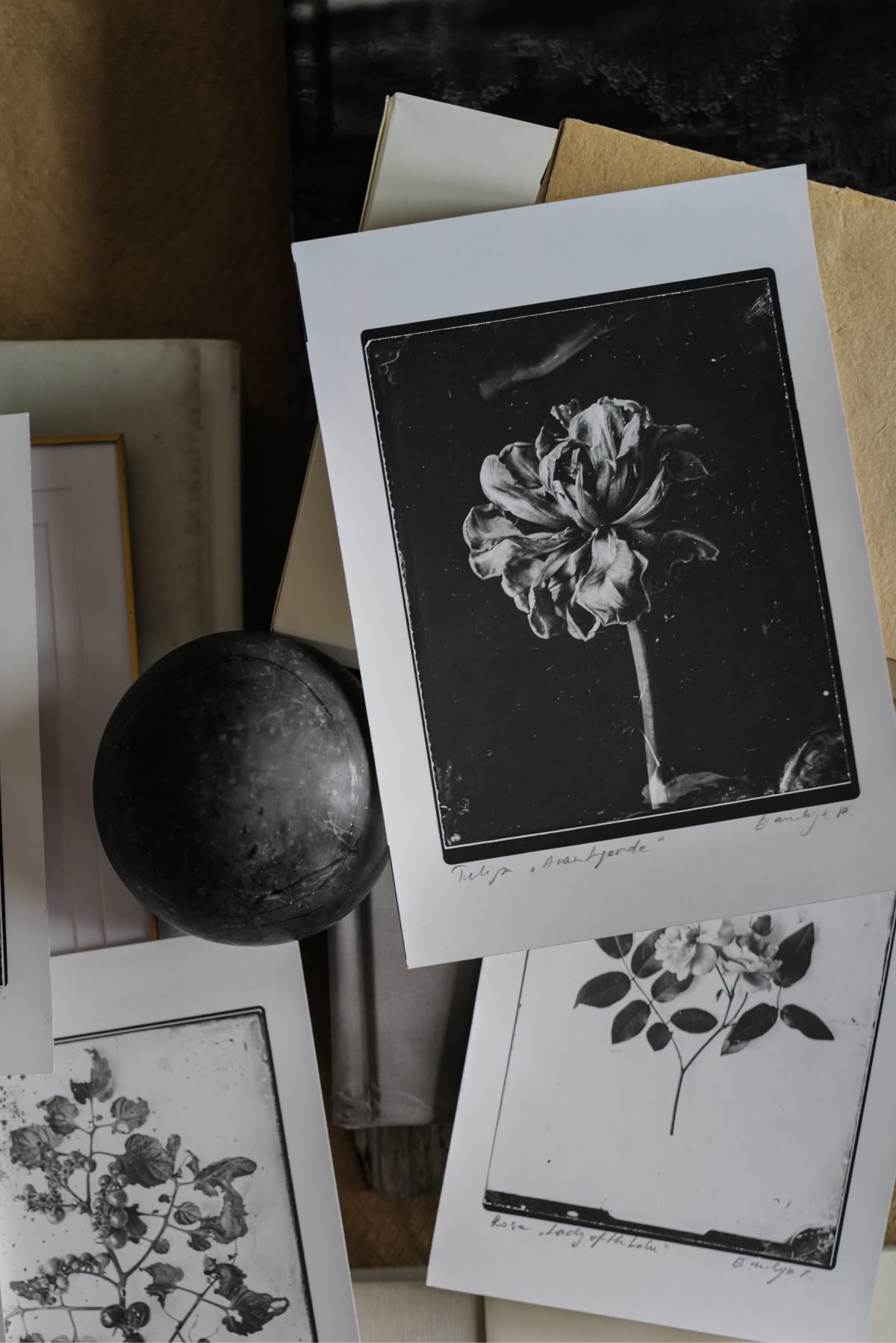 Fine Art Silver Print (plain print)