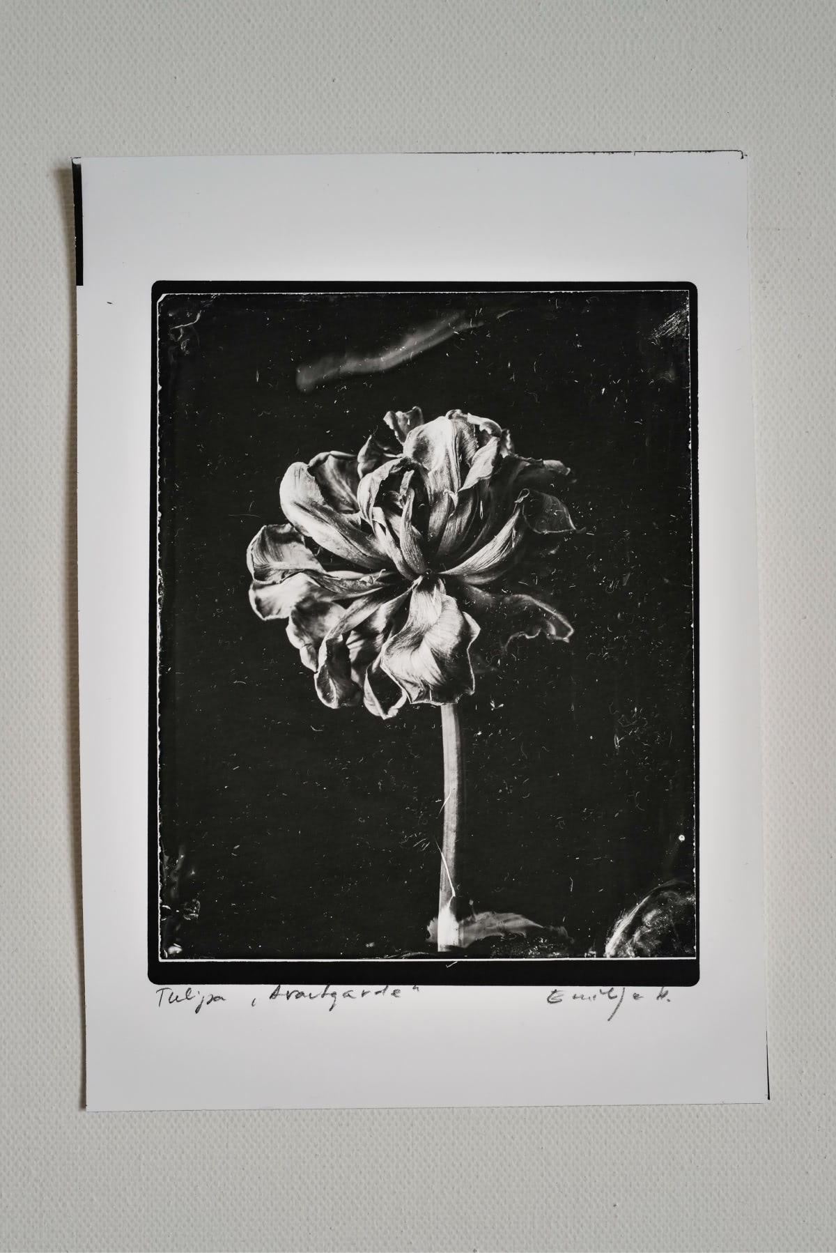 Fine Art Silver Print (plain print)