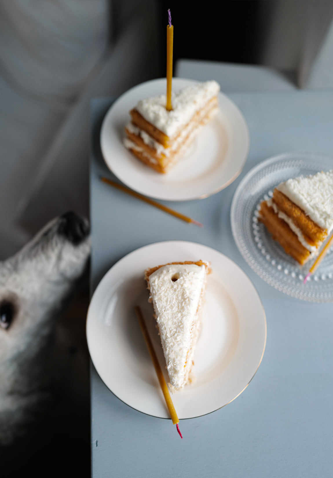 PET Birthday Candles