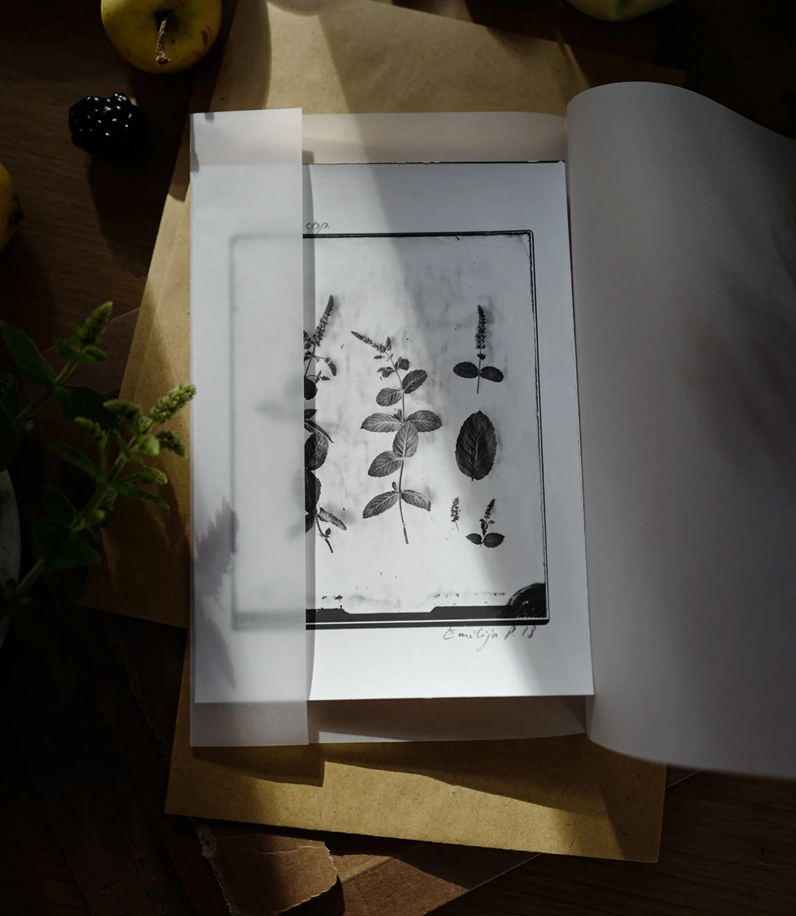 Silver Print Set: 3 for the price of 2