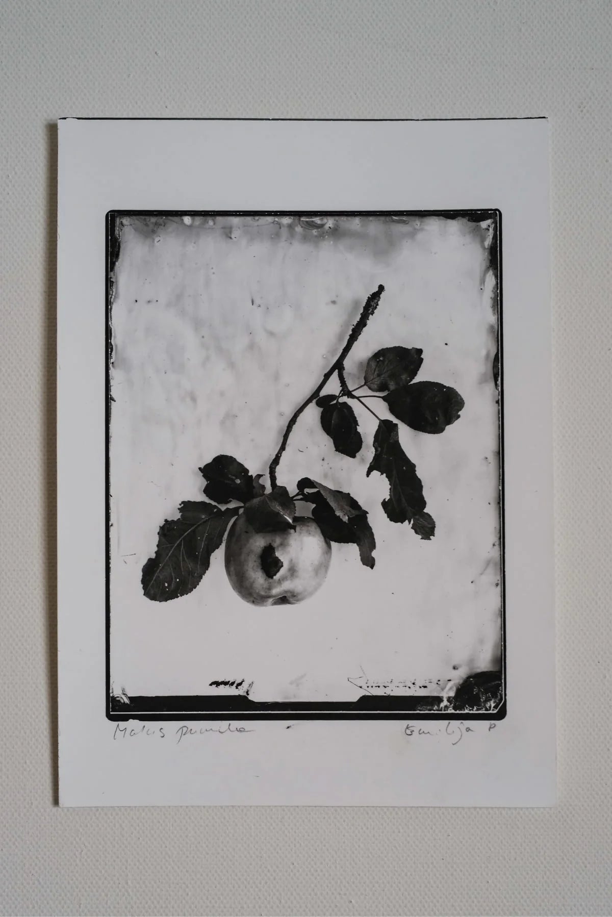 Silver Print Set: 3 for the price of 2