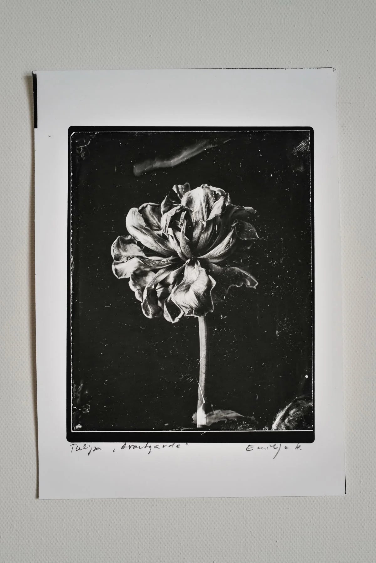 Silver Print Set: 3 for the price of 2