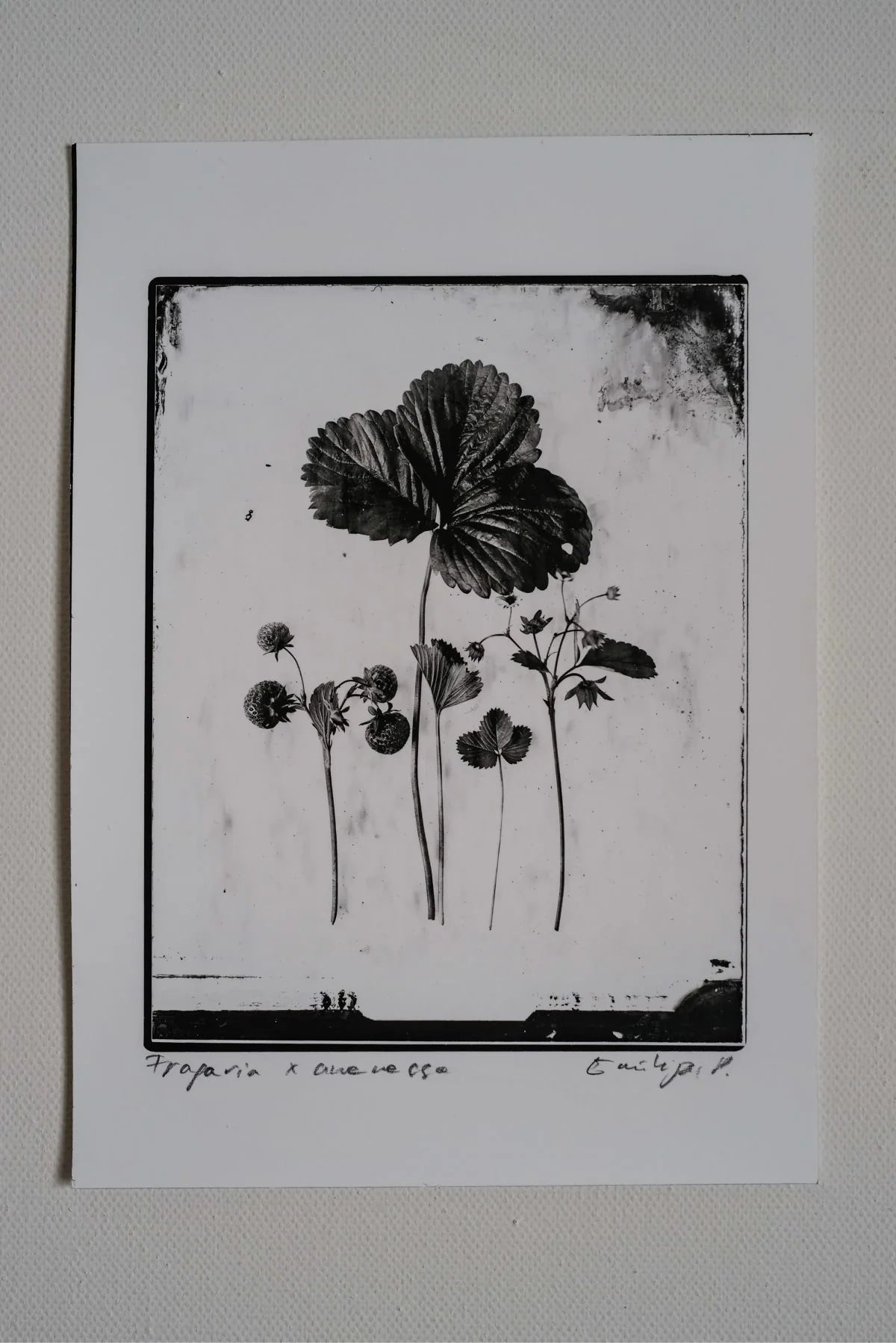 Silver Print Set: 3 for the price of 2