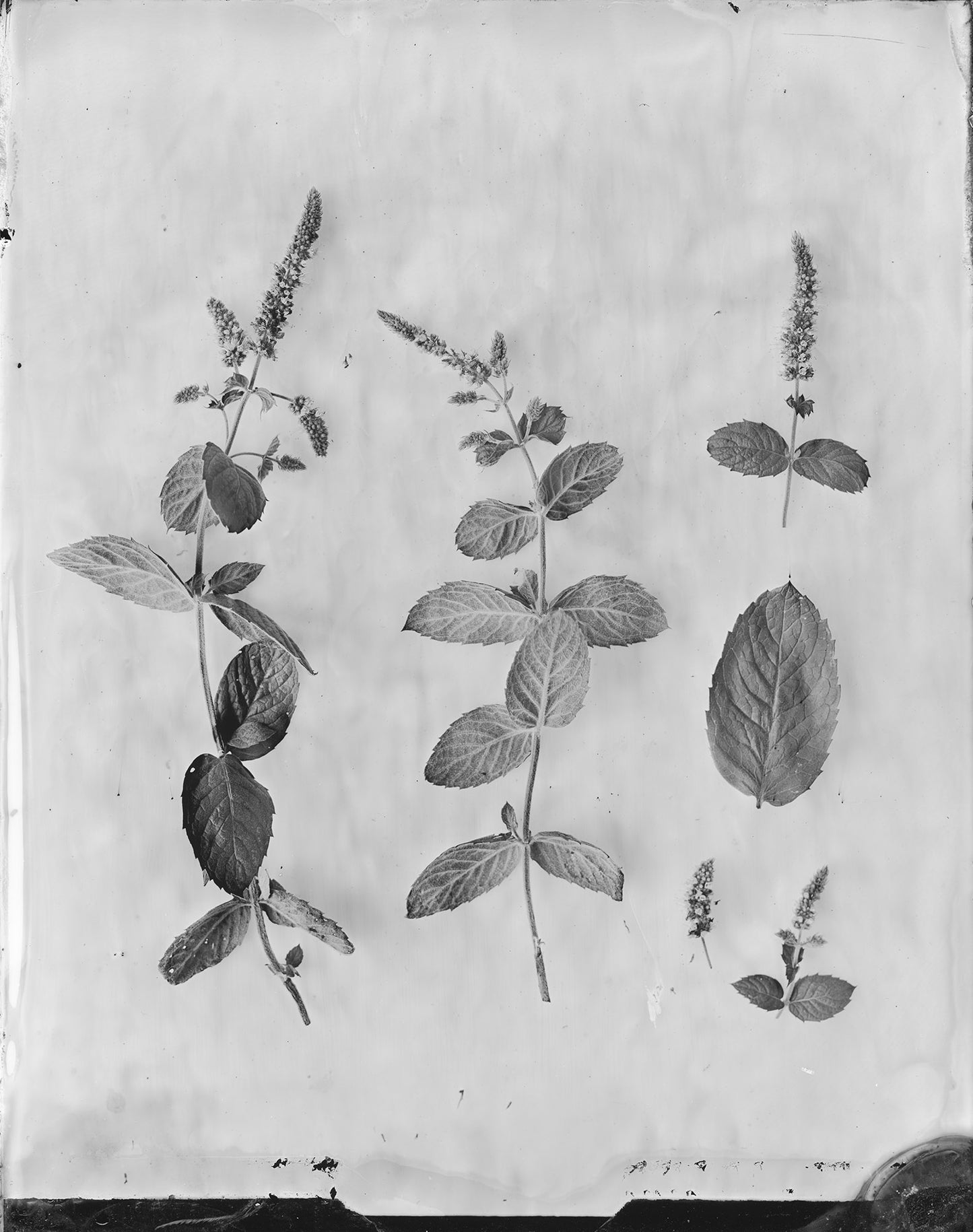 Silver Print Set: 3 for the price of 2