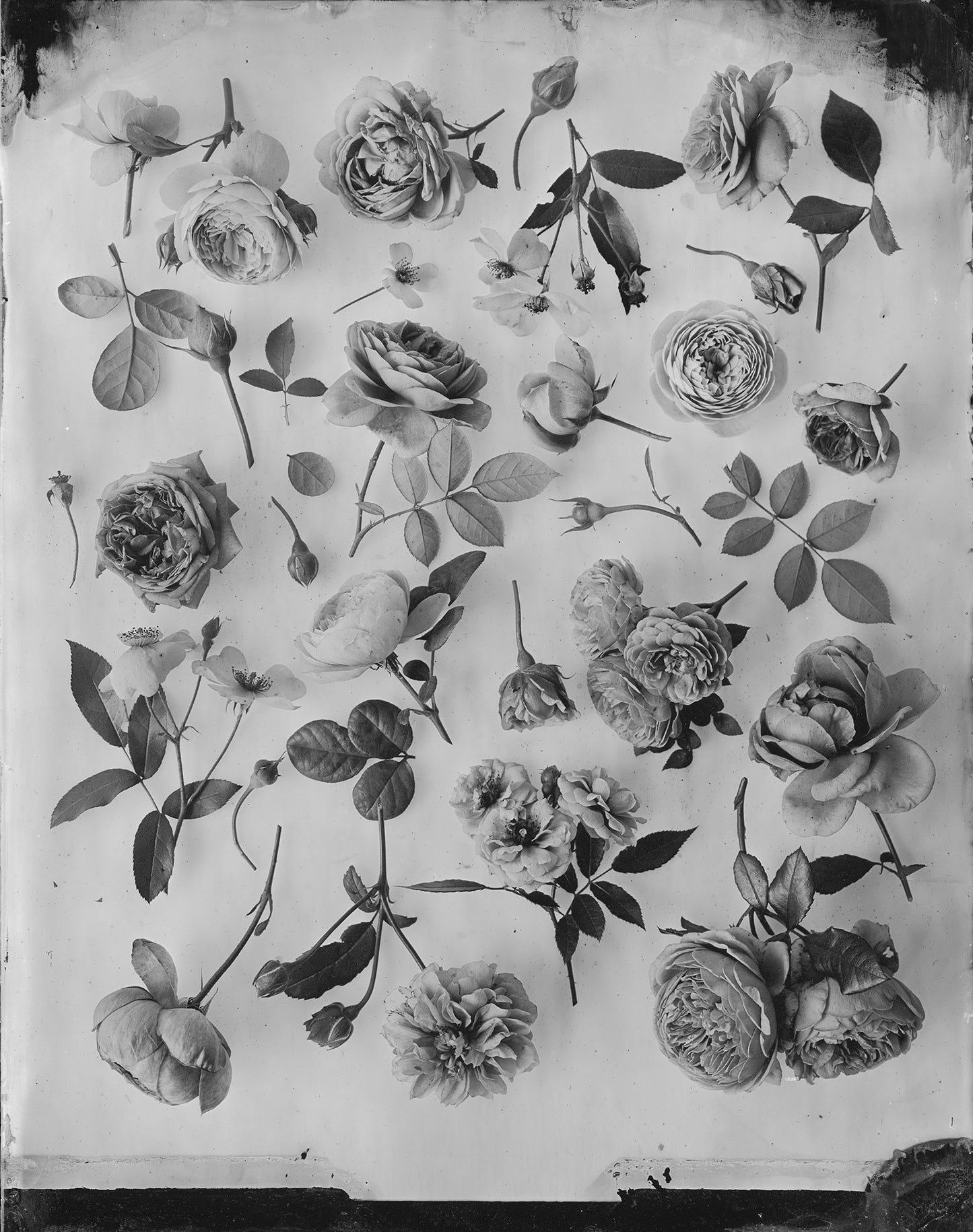 Silver Print Set: 3 for the price of 2