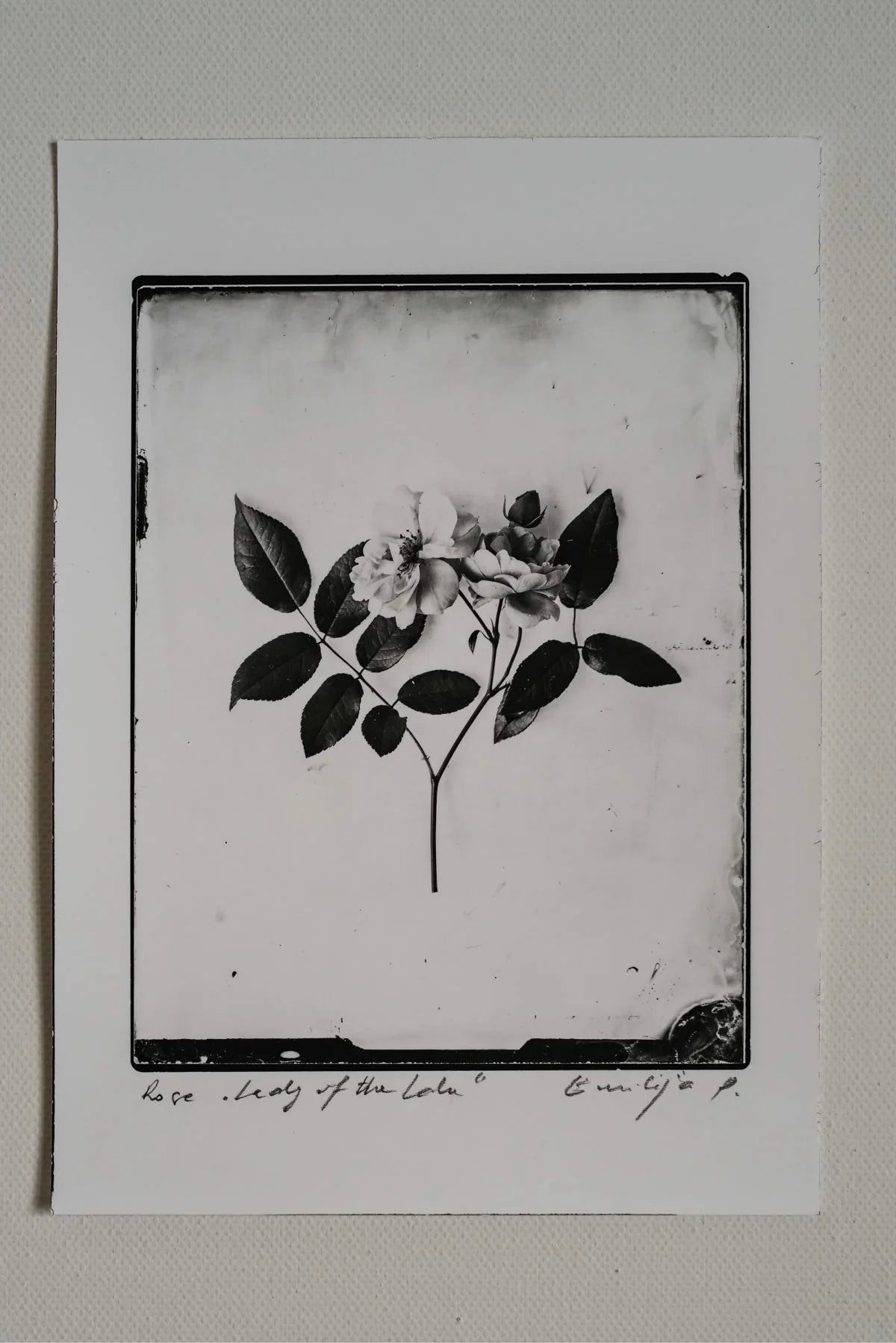 Silver Print Set: 3 for the price of 2