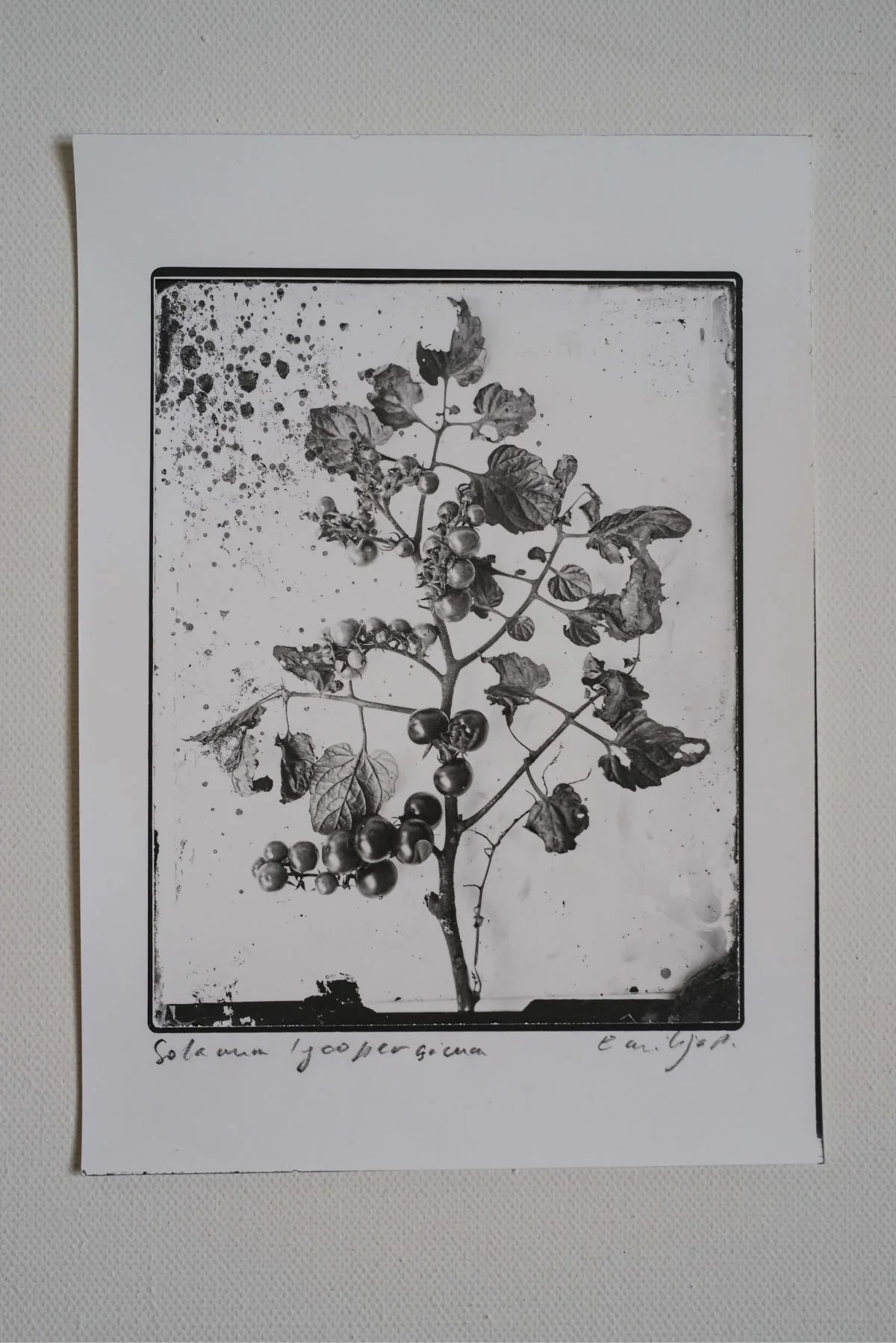 Silver Print Set: 3 for the price of 2