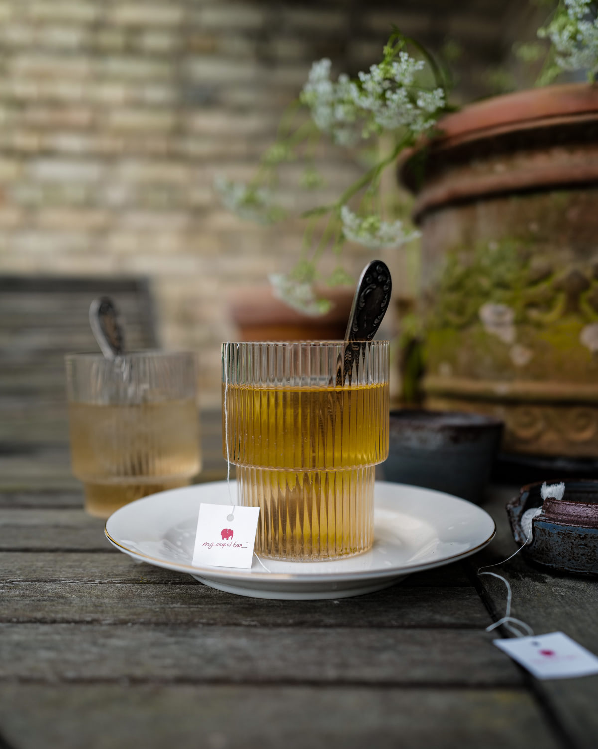 Tea: BEAUTY IN BALANCE BLEND