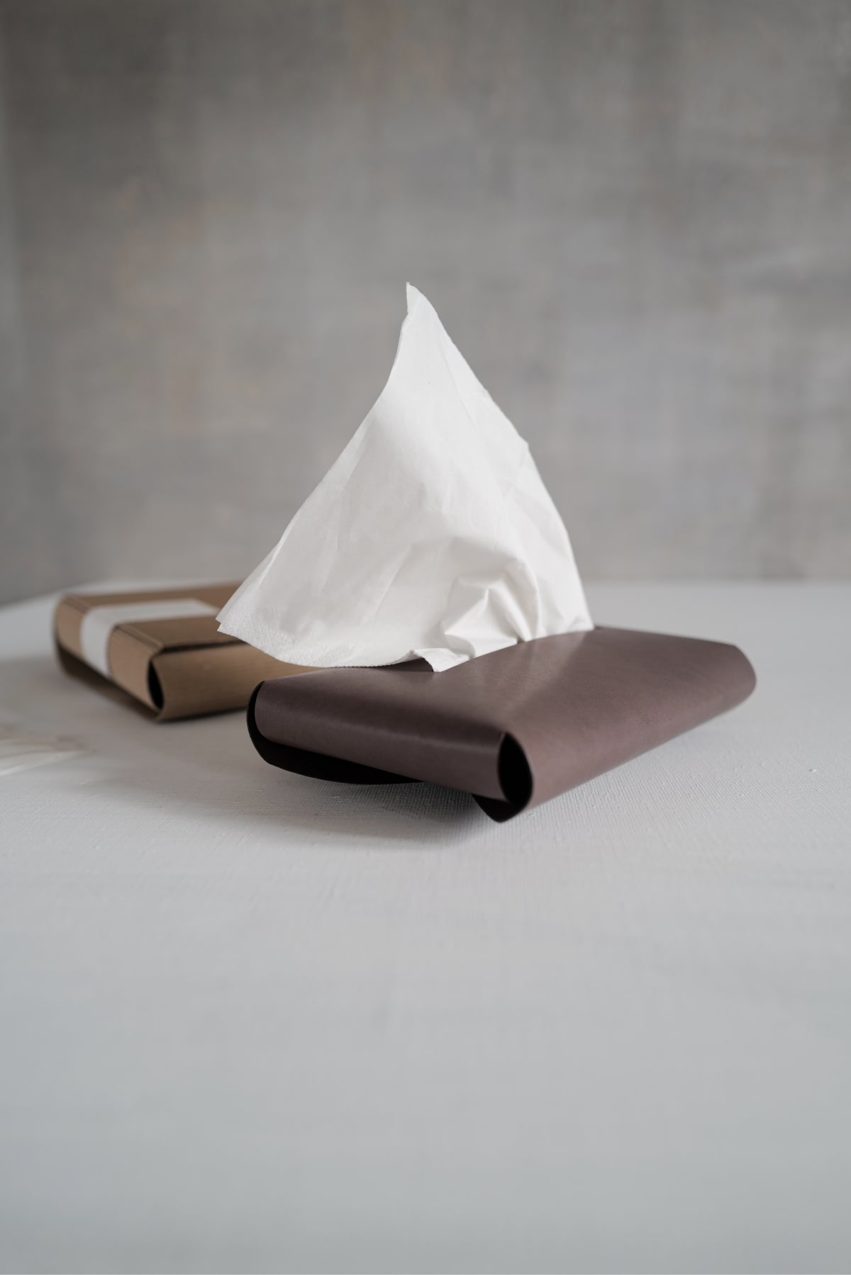 Tissue Cover